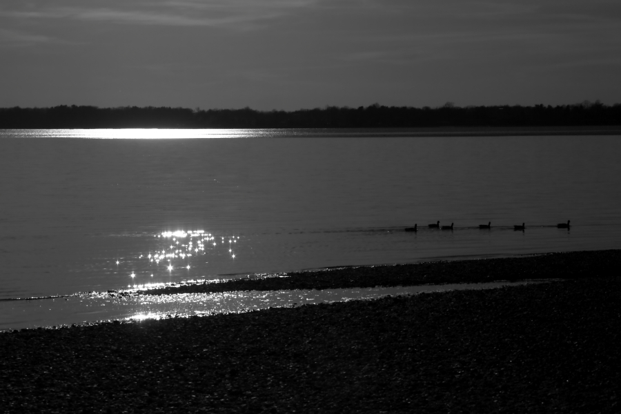 2013 04 06 IMG 02620ebw